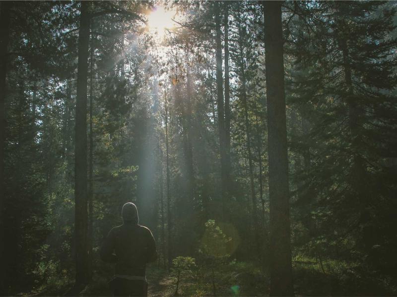 世界的尽头<br>zhfggmp.cn 是暴风雪的故乡